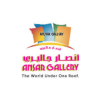 ansar gallery